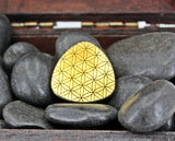 Fidget lucky coin pick brass with Japanese Daruma