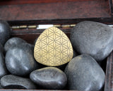 Fidget lucky coin pick brass with Japanese Daruma